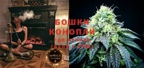бошки Новодвинск
