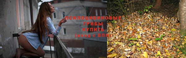 крисы Ветлуга